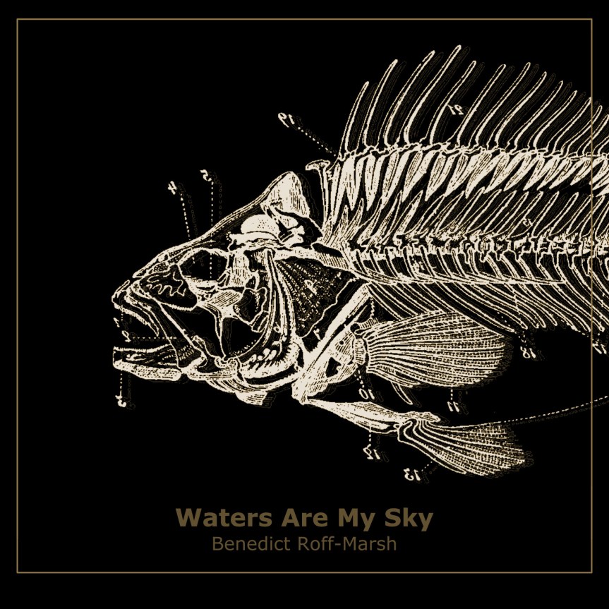 Waters Are My&nbsp;Sky