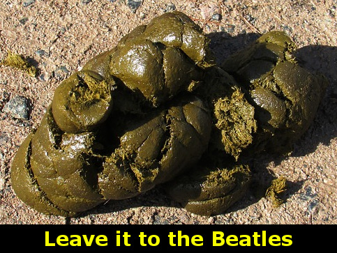 What Makes a VST Plug-In High Quality and Should You Even&nbsp;Care?